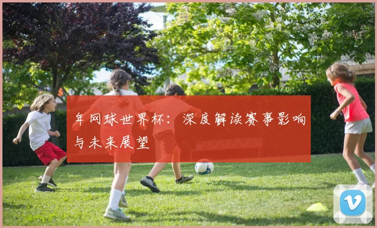年网球世界杯：深度解读赛事影响与未来展望