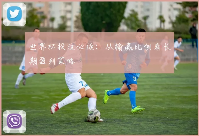 世界杯投注必读:从输赢比例看长期盈利策略